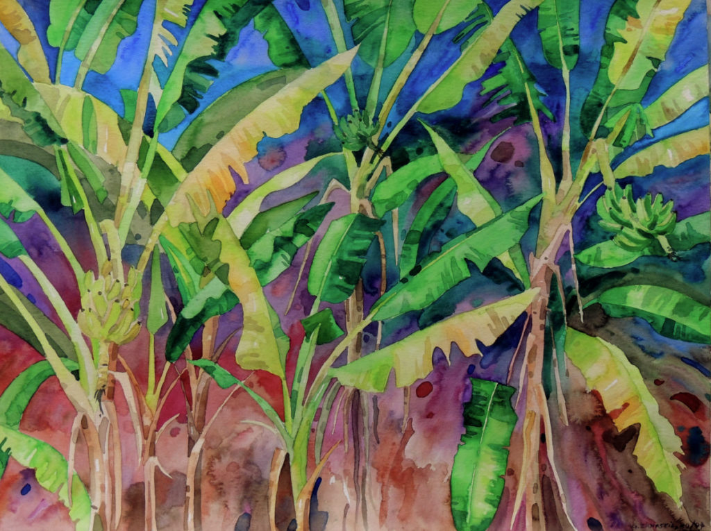 Banana Tree, Aquarell, 30 x 40 cm